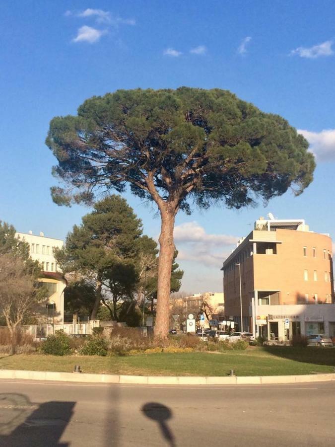Residence Al Pino Matera Luaran gambar